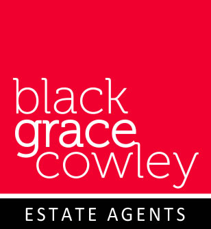 Agent Logo