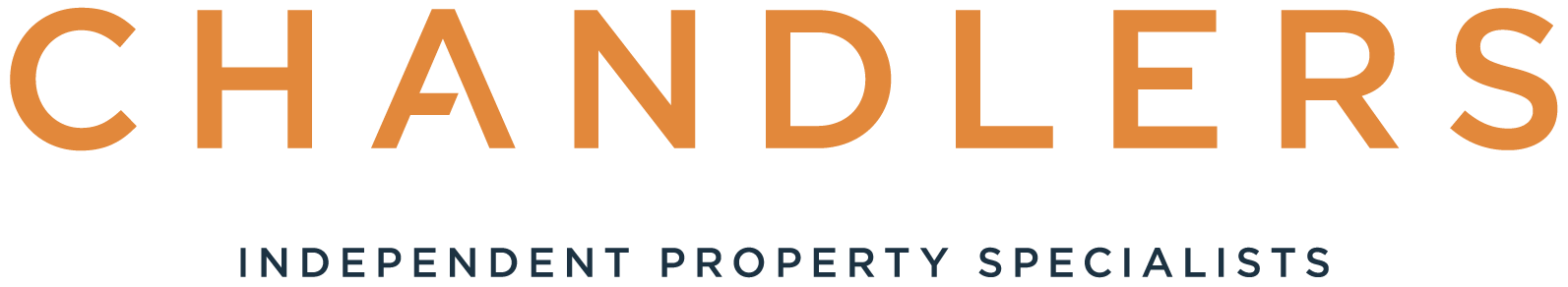 Agent Logo