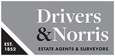 Agent Logo