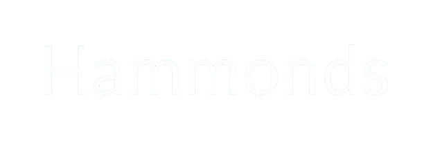 Agent Logo
