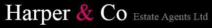 Agent Logo